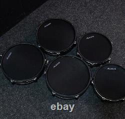 Alesis DM10 MKII Pro Electronic Drum Kit-USED-RRP £1133