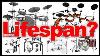How To Make Your Electronic Drumset Last Longer 7 Tips